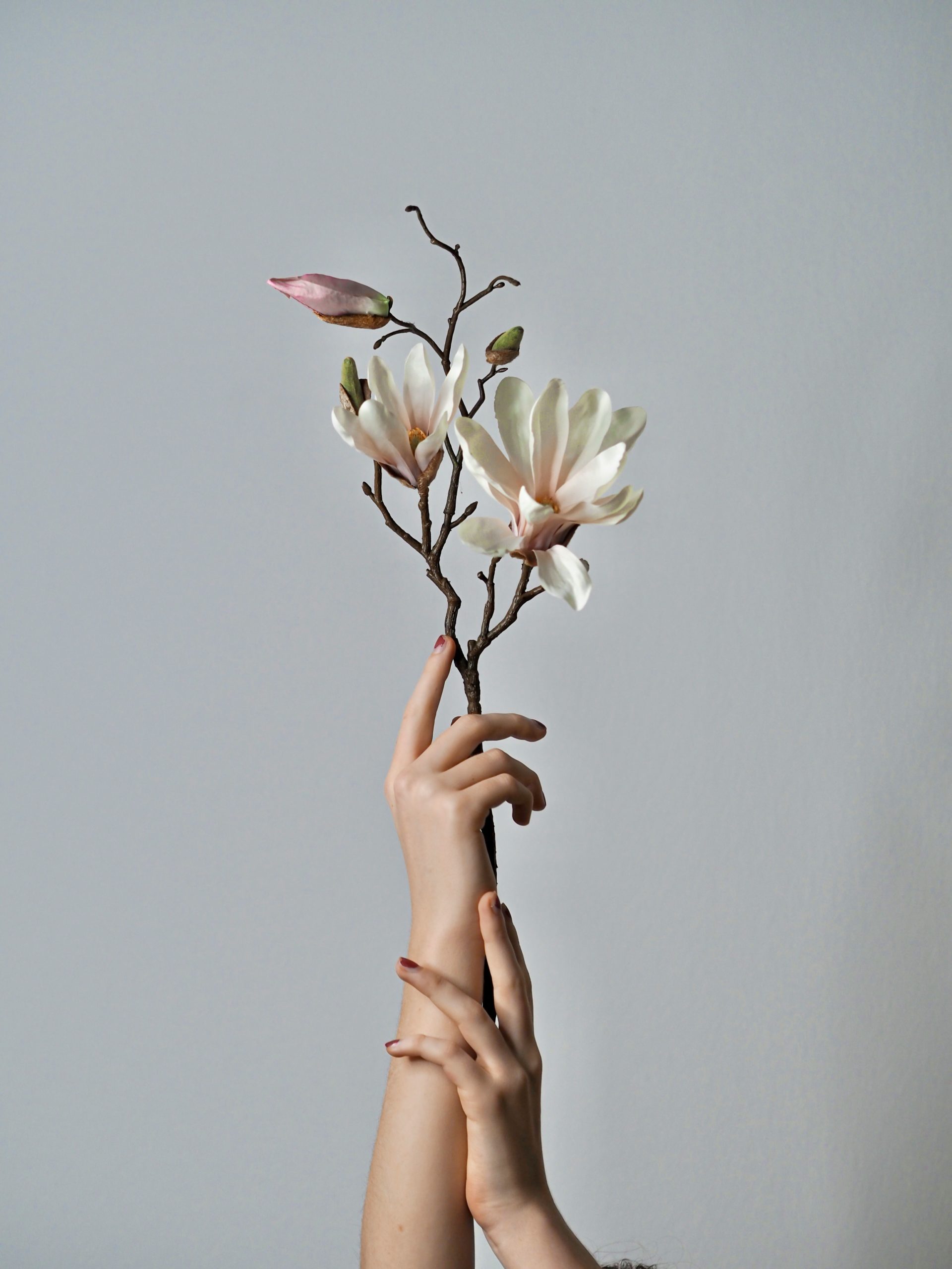 laura-chouette-L7yeuYG68z8-unsplash